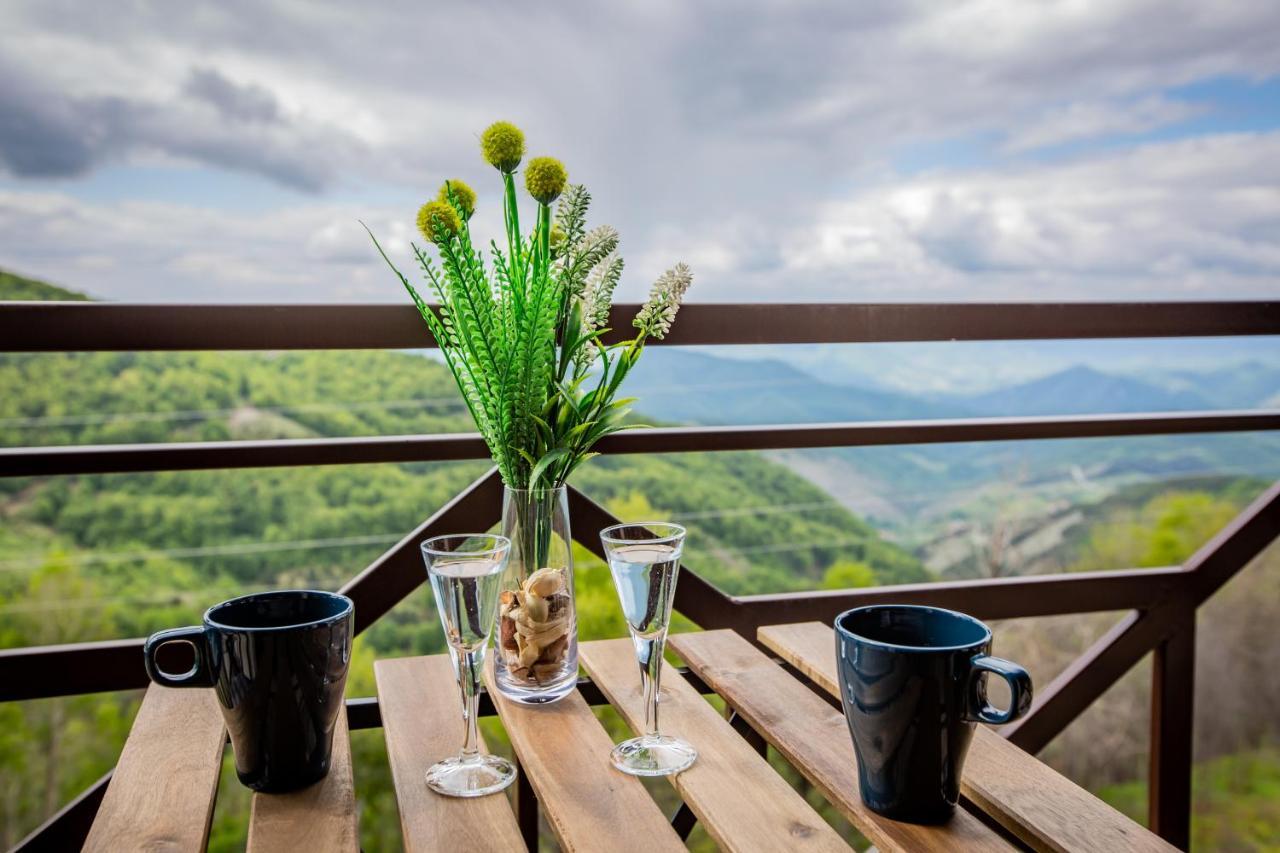 Apartments View Dvori E25 Копаоник Экстерьер фото